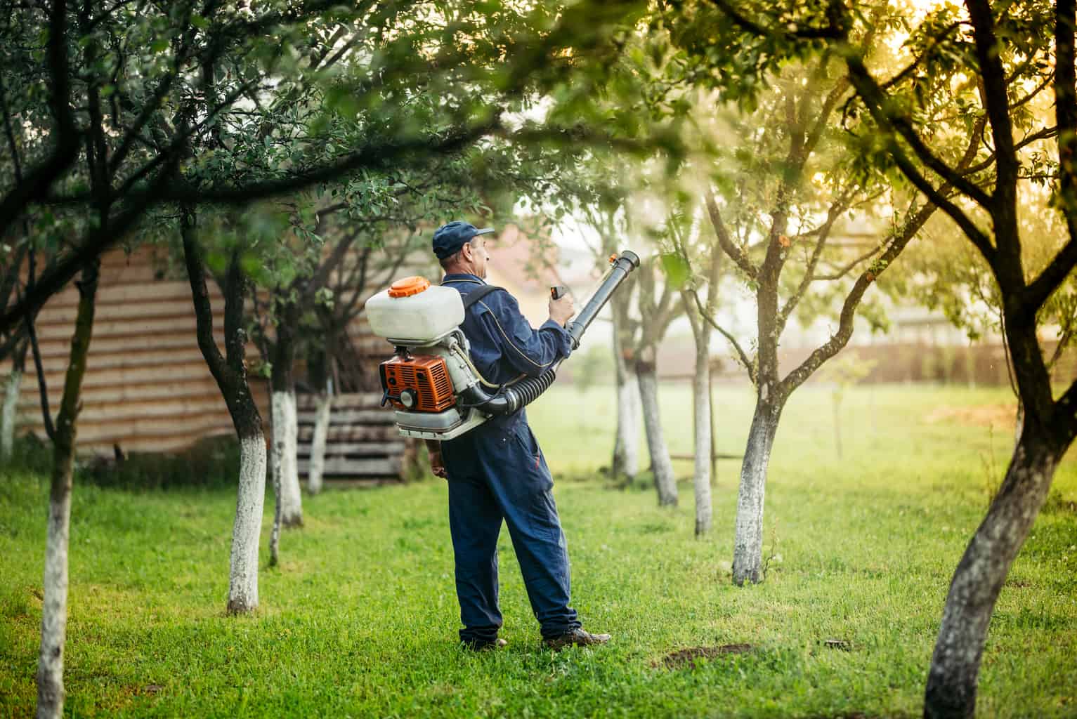 Pyrethroid pesticides found in men’s urine Daily